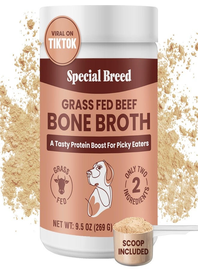 Special Breed Bone Broth Powder for Dogs and Cats - Dog and Cat Food Topper, Grass Fed Beef Broth Supplement, 9.5 oz - Image 1